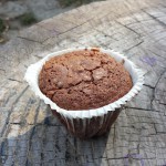 Muffin al Cioccolato senza Uova e Burro