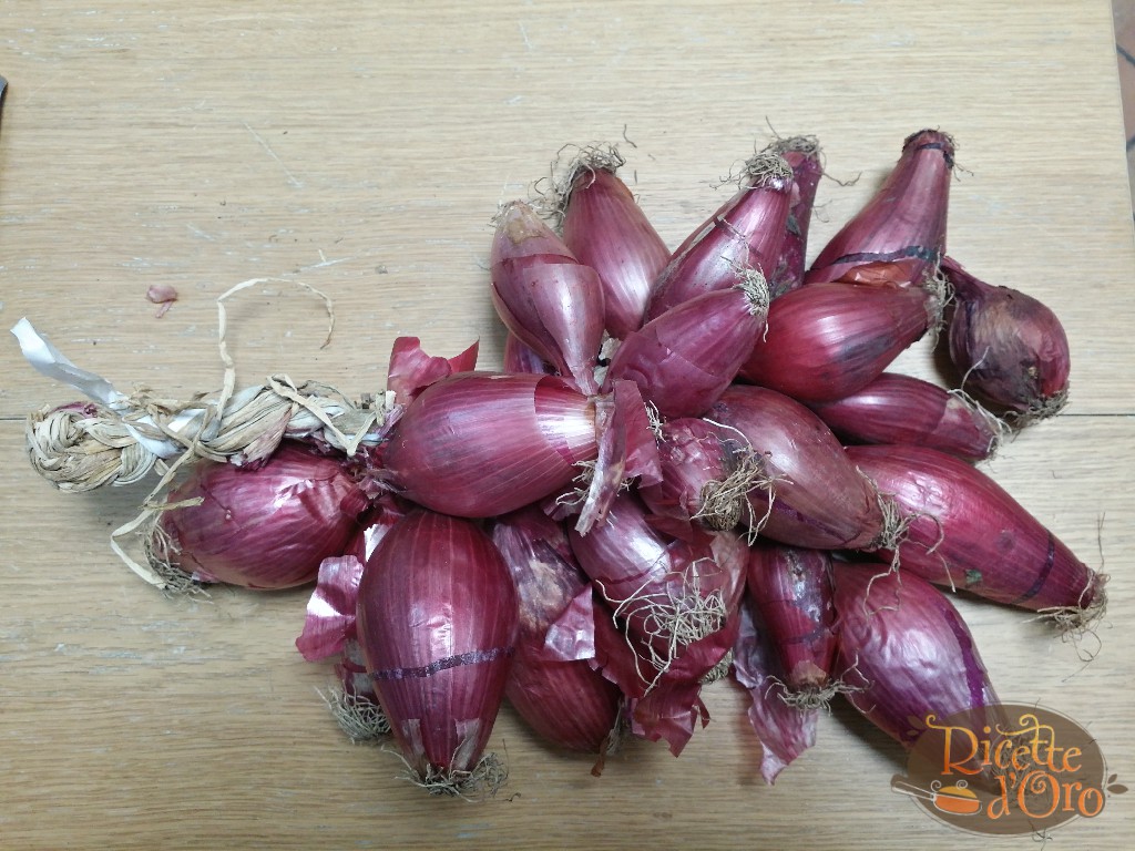 pasta alla genovese