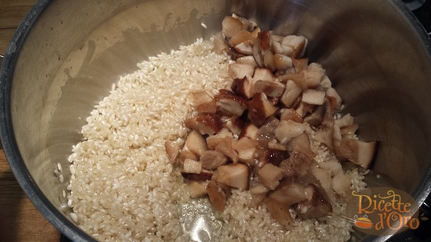 risotto-ai-funghi-porcini-cubetti