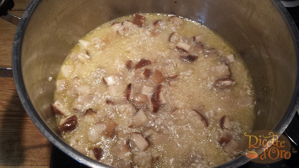 risotto-ai-funghi-porcini-aggiunta-brodo